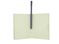 Küçük Panda Not Defteri