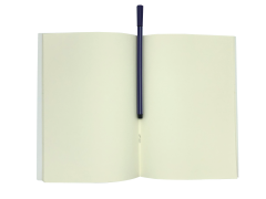 Büyük Panda Not Defteri