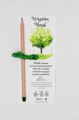 Çocuk Doğum Günü Tohum Kalem 4