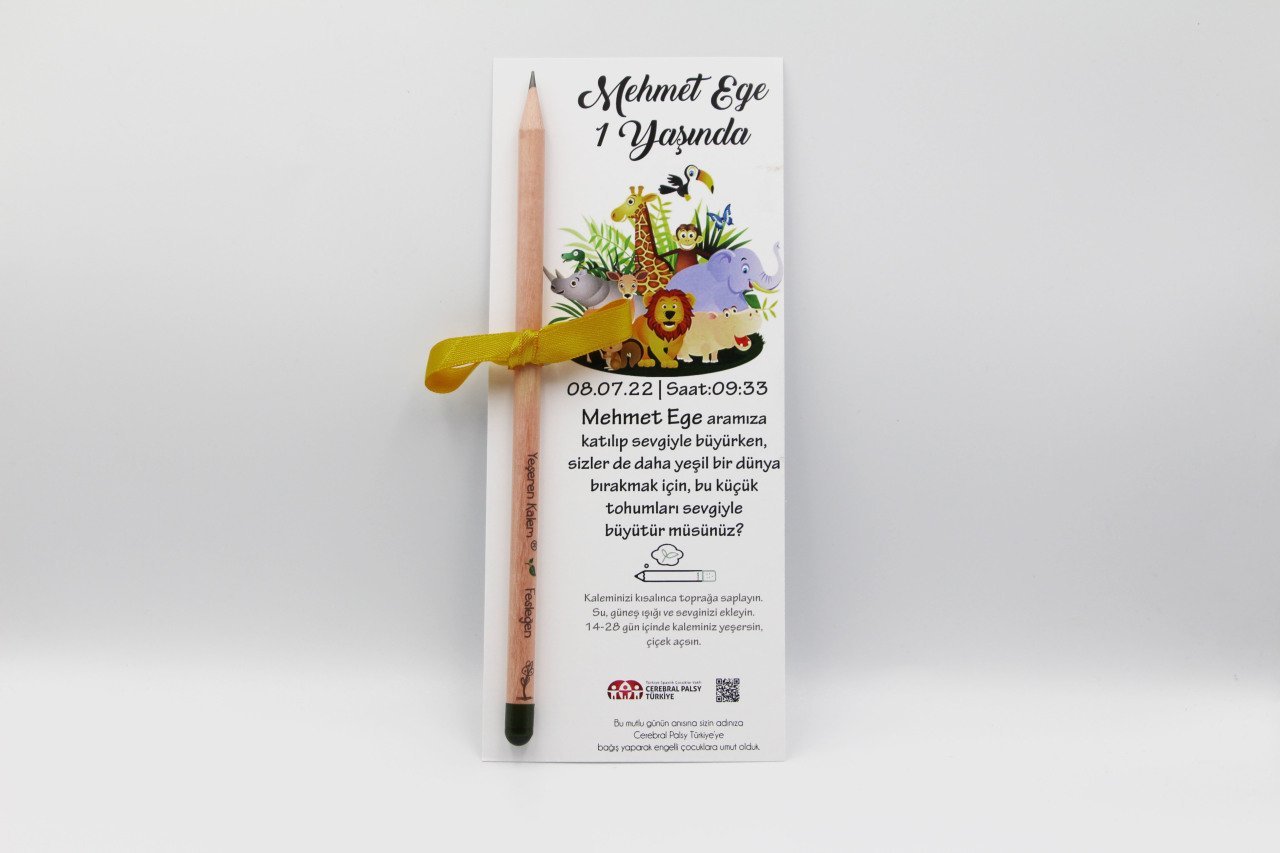 Çocuk Doğum Günü Tohum Kalem 3