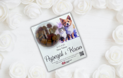 Kedi Maması Nikah Kartı