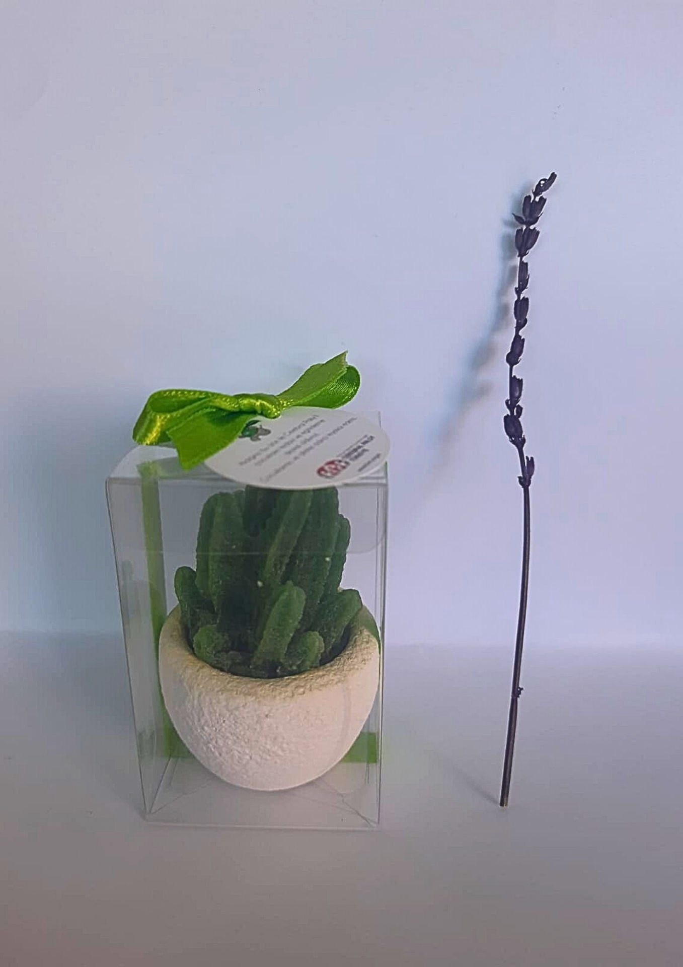 Yeşil Kaktüslü Mum