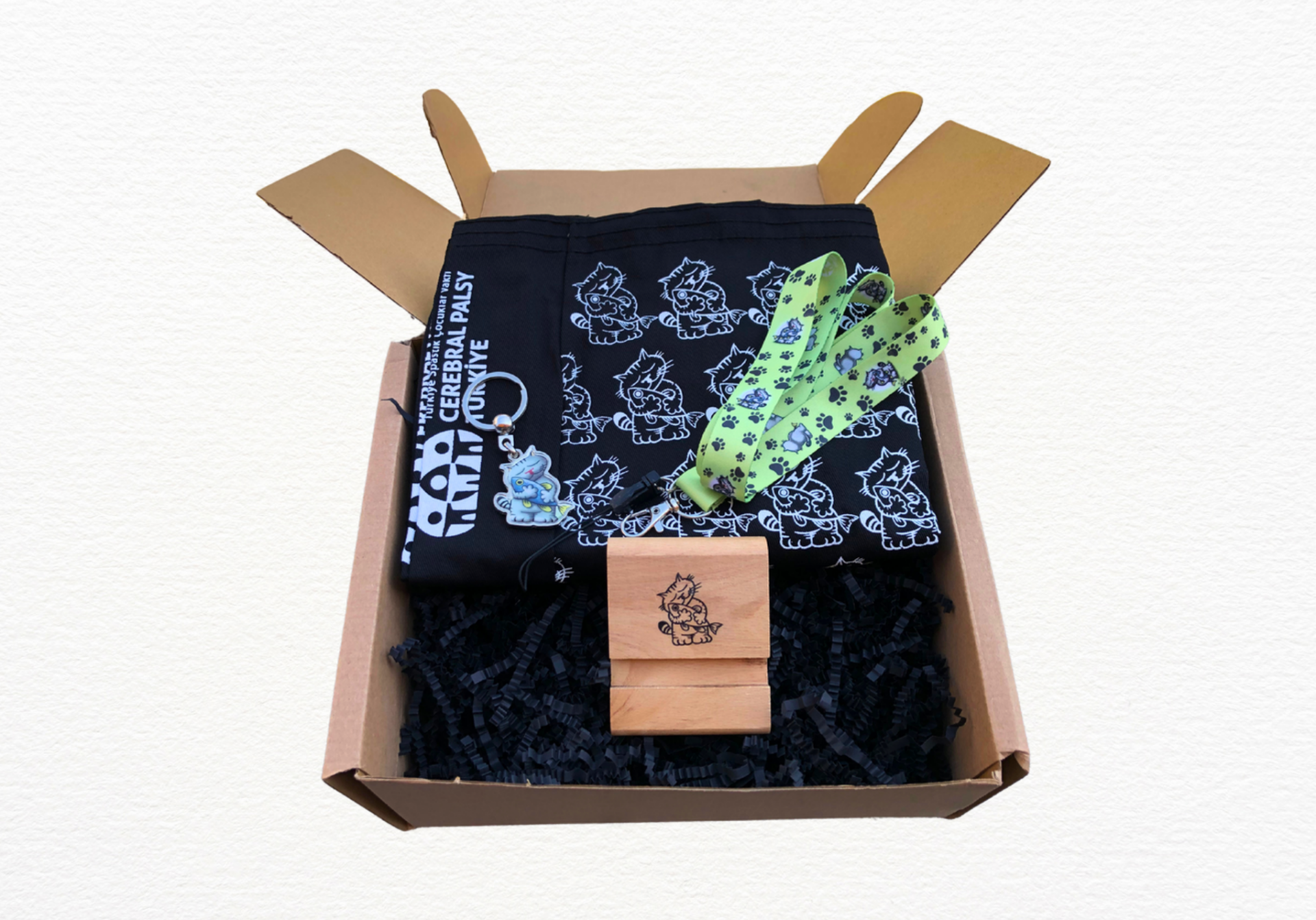 Kurumsal Kutu - Kedi Rüyası 2